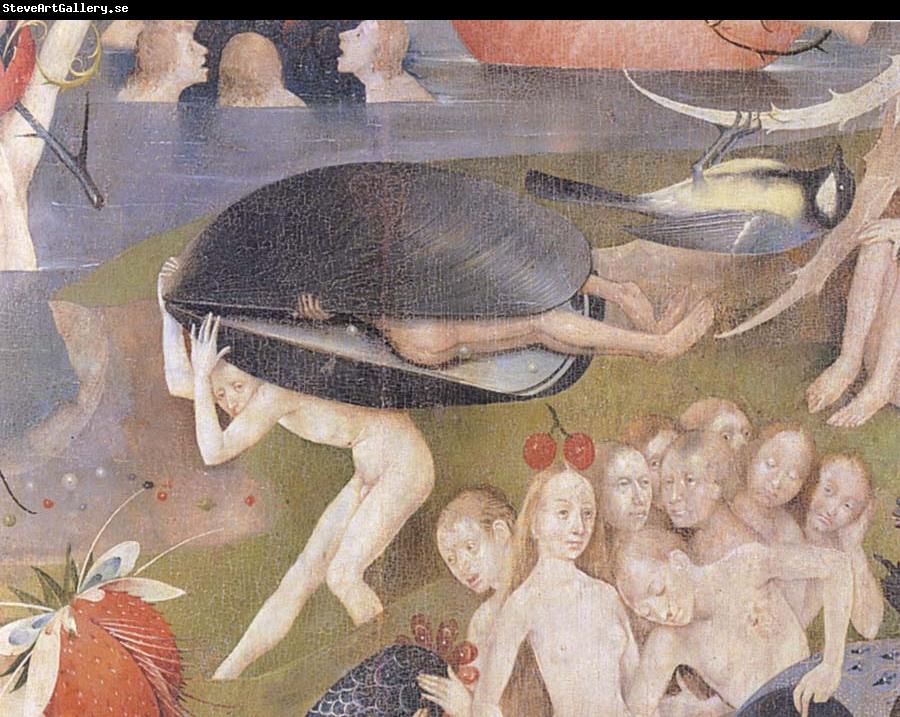 Heronymus Bosch The garden of the desires